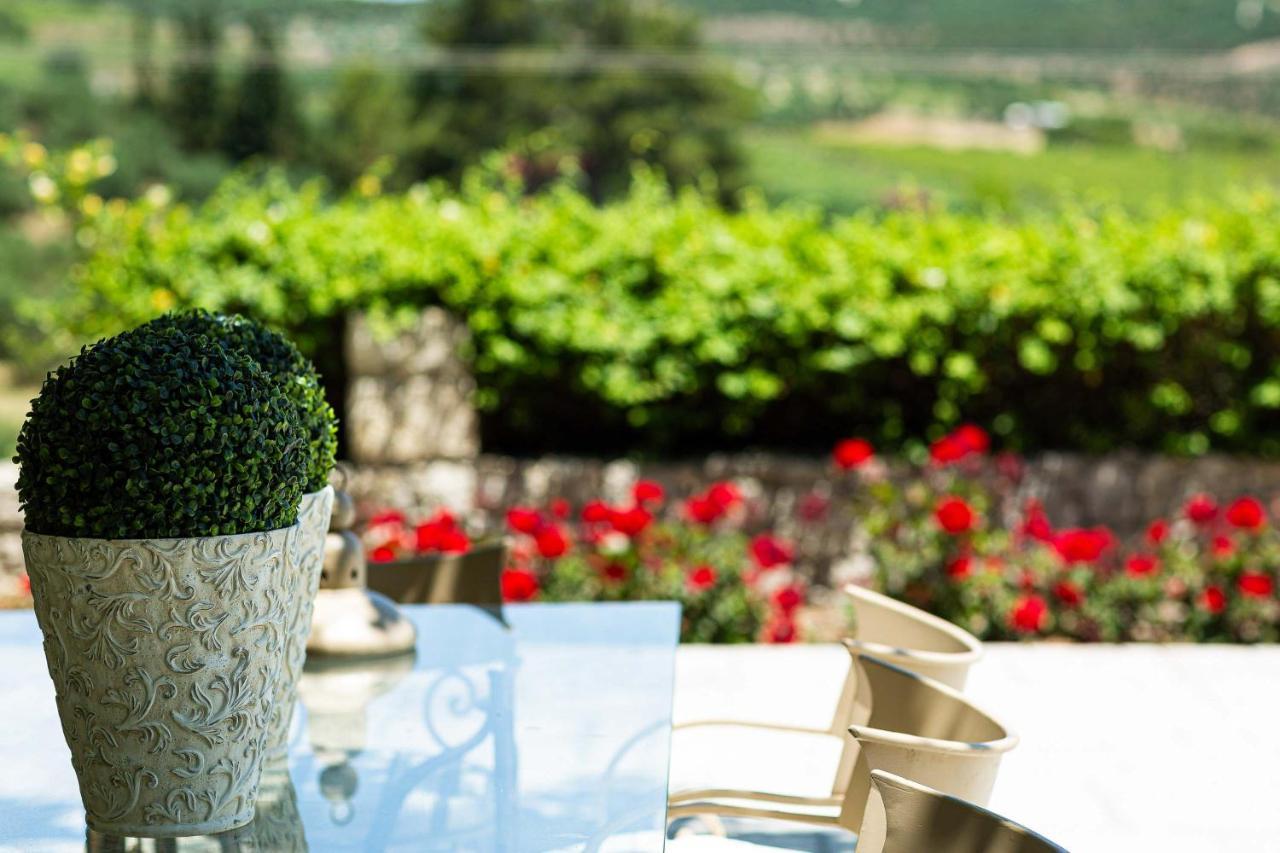 Villa Mantilari Wine Estate 7 Apartments 2 Private Pools 1 Heated Tennis Court Fitness Center 阿卡尼斯 外观 照片